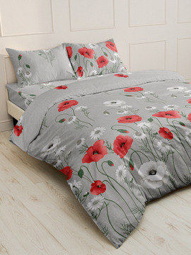 КПБ с простыней бязь Шуя Реноме 