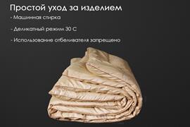 Одеяло верблюжья шерсть тик п/э Реноме