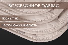 Одеяло верблюжья шерсть тик Реноме